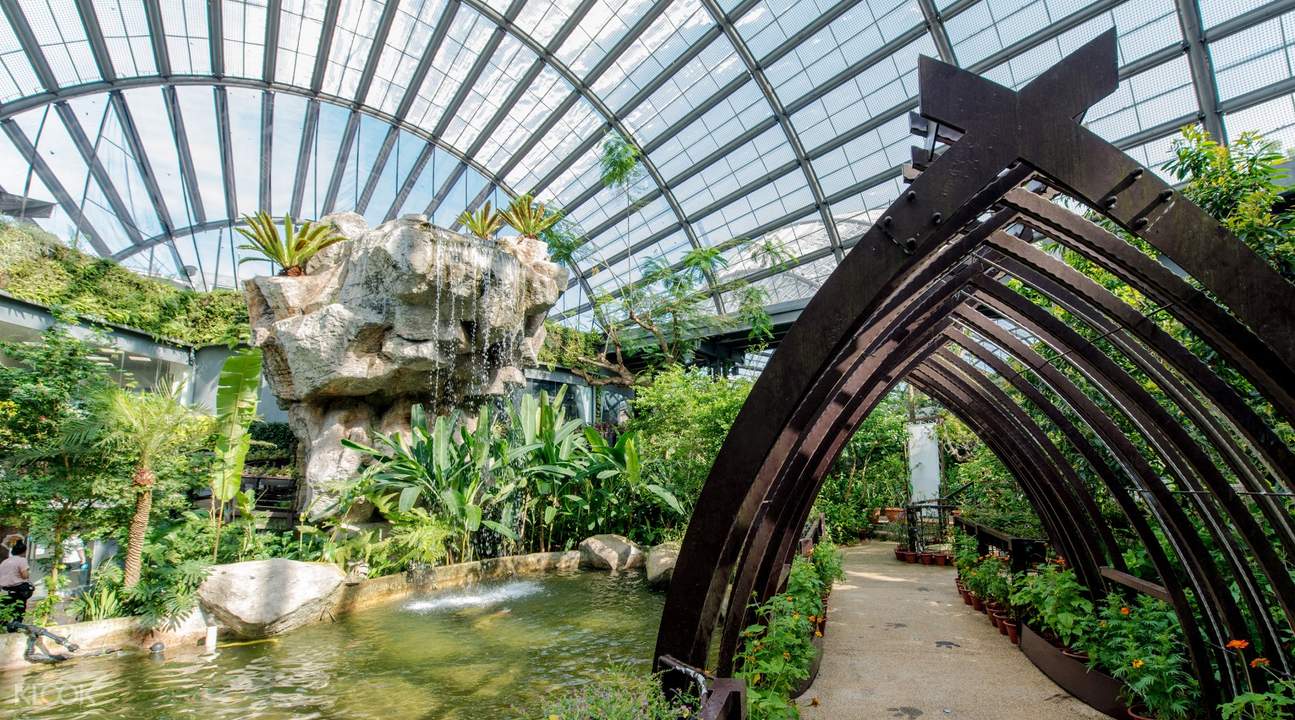 Klook Exclusive Entopia By Penang Butterfly Farm